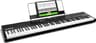 Alesis Recital