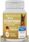 Gelenktabletten Hund