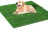 Hundetoilette Balkon