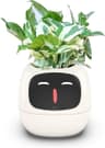 Smart-Blumentopf