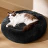 BEDSURE Katzenbett