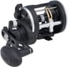 PENN Rival Multirolle