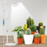 Aumtrly Pflanzenlampe
