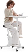 FlexiSpot V9-Lite