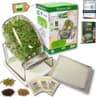 Green SEEDS Starter-Set