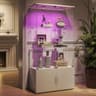Standvitrine mit LED